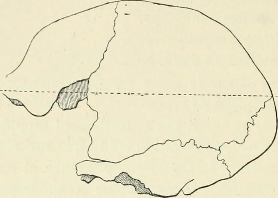 An illustration from Les origines : questions d'apologétique, 1890, leaf 333
