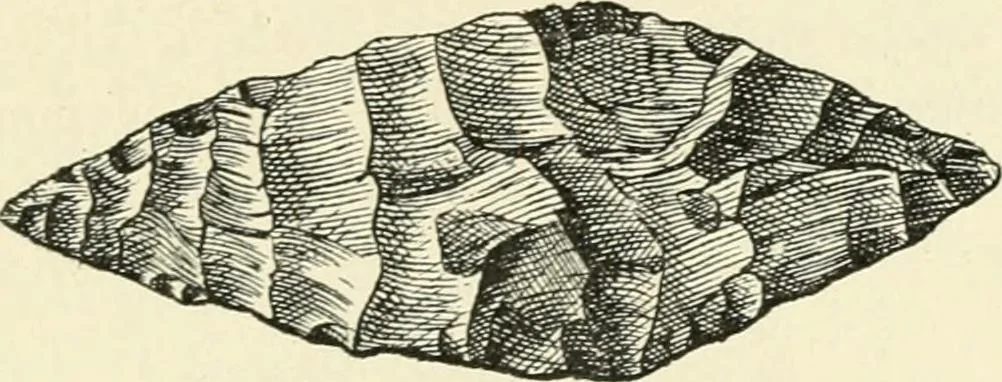 An illustration from Les origines : questions d'apologétique, 1890, leaf 336
