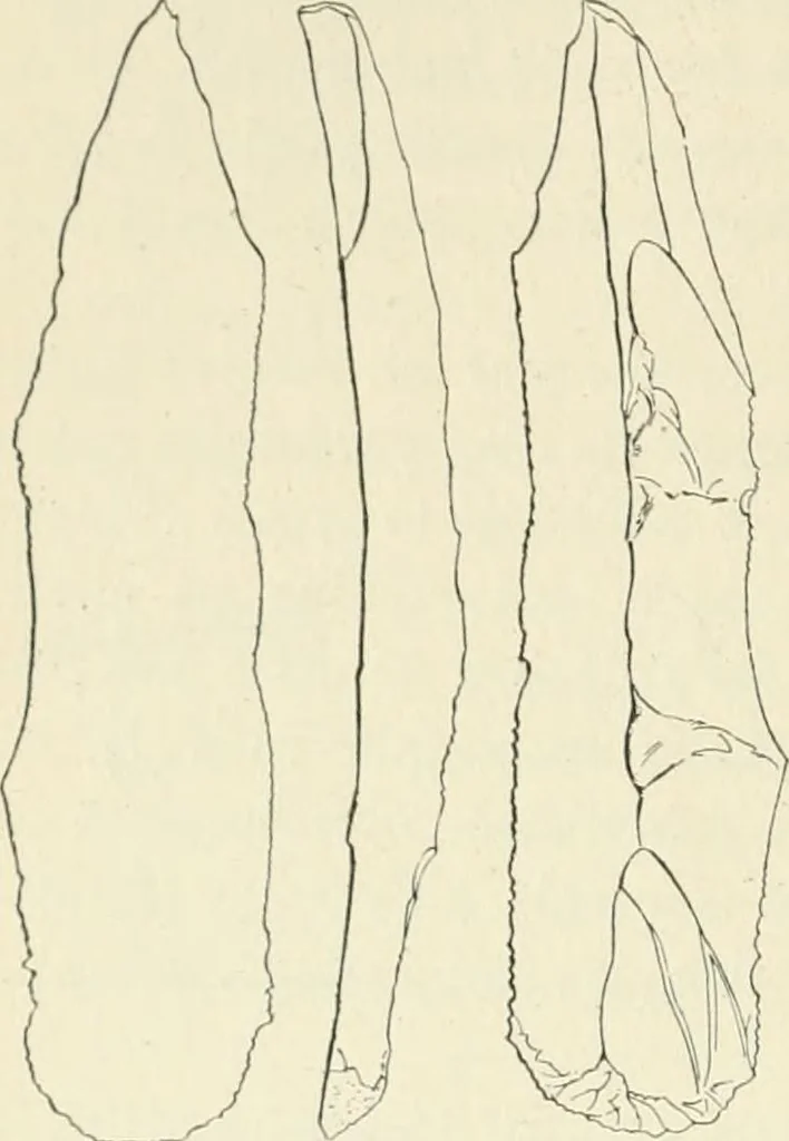 An illustration from Les origines : questions d'apologétique, 1890, leaf 341