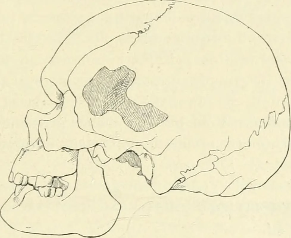 An illustration from Les origines : questions d'apologétique, 1890, leaf 344