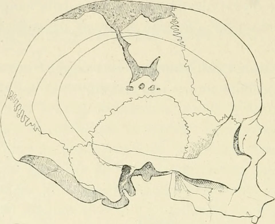 An illustration from Les origines : questions d'apologétique, 1890, leaf 345