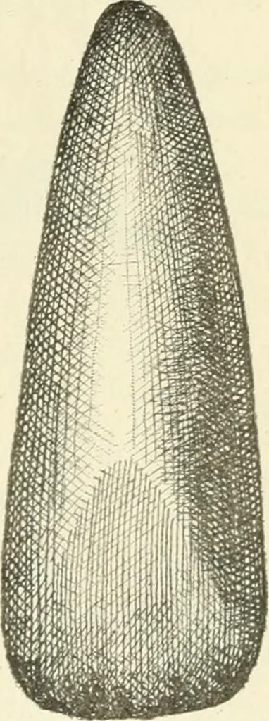 An illustration from Les origines : questions d'apologétique, 1890, leaf 354
