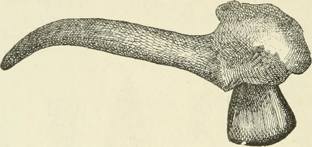 An illustration from Les origines : questions d'apologétique, 1890, leaf 355