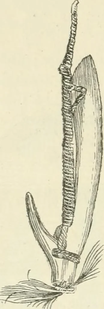 An illustration from Les origines : questions d'apologétique, 1890, leaf 357