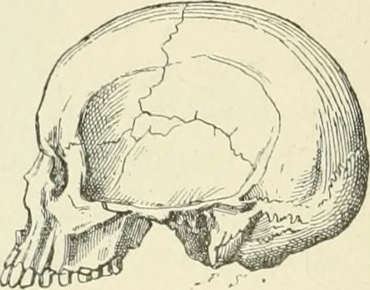 An illustration from Les origines : questions d'apologétique, 1890, leaf 361