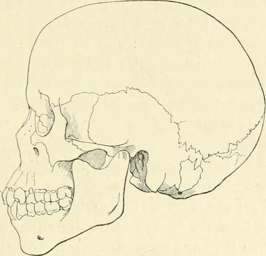 An illustration from Les origines : questions d'apologétique, 1890, leaf 368
