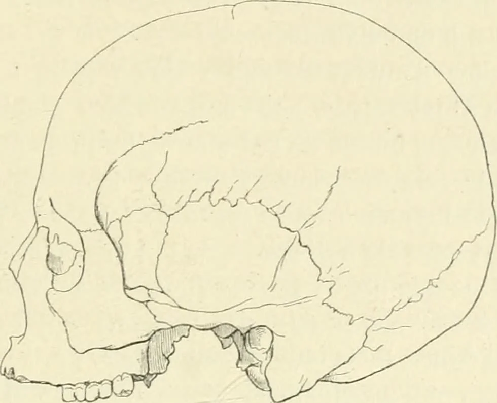An illustration from Les origines : questions d'apologétique, 1890, leaf 380