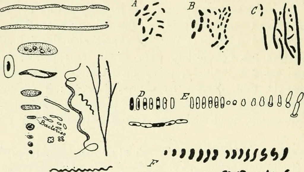 An illustration from Les origines : questions d'apologétique, 1890, leaf 67