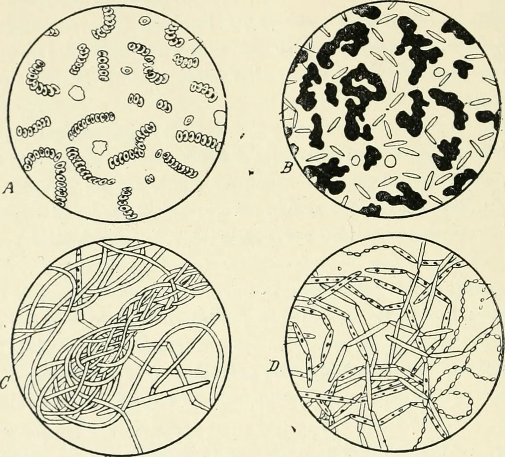 An illustration from Les origines : questions d'apologétique, 1890, leaf 71