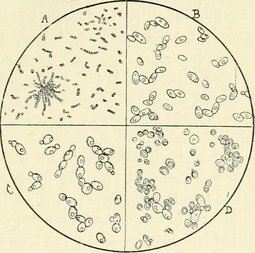 An illustration from Les origines : questions d'apologétique, 1890, leaf 74