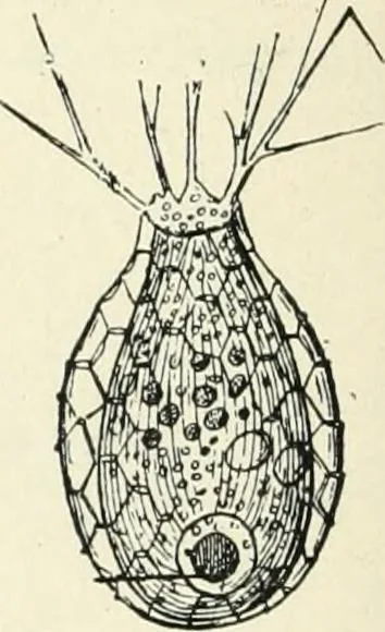 An illustration from Les origines : questions d'apologétique, 1890, leaf 87