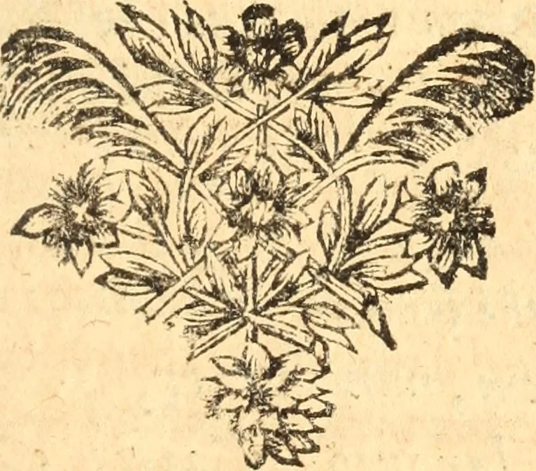 An illustration from Les panégyriques des saints, 1664, leaf 224