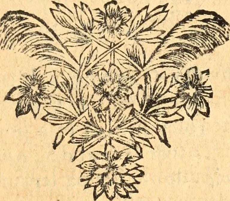 An illustration from Les panégyriques des saints, 1664, leaf 258