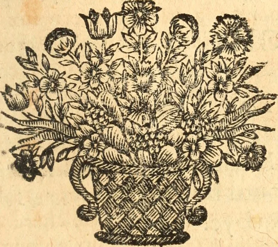 An illustration from Les panégyriques des saints, 1664, leaf 334