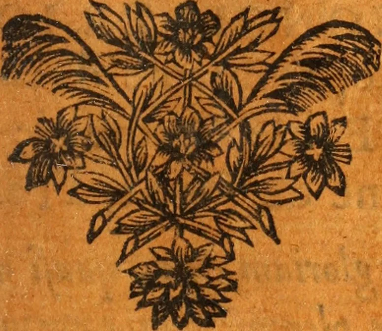 An illustration from Les panégyriques des saints, 1664, leaf 418