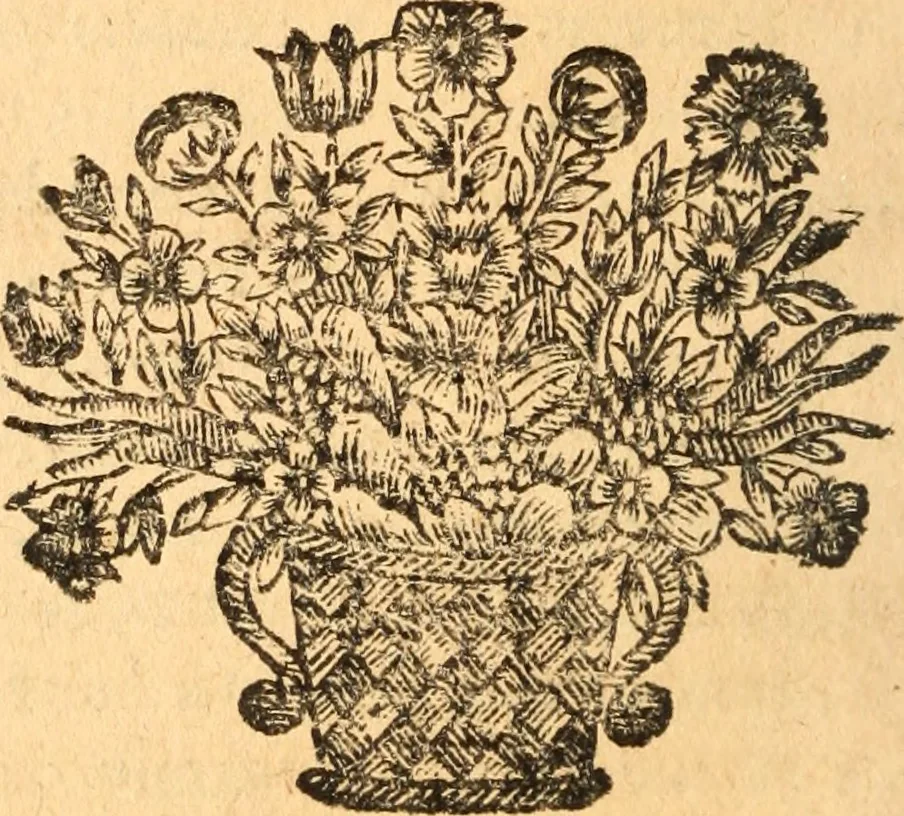 An illustration from Les panégyriques des saints, 1664, leaf 455