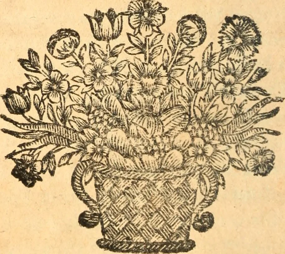 An illustration from Les panégyriques des saints, 1664, leaf 507