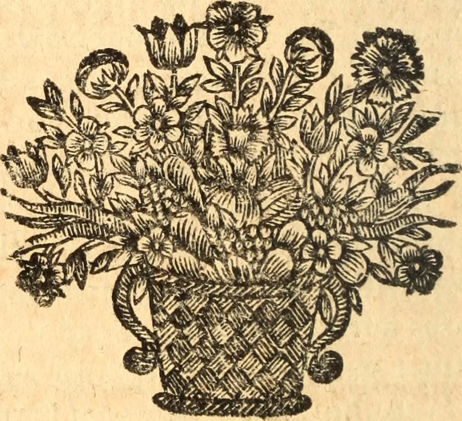 An illustration from Les panégyriques des saints, 1664, leaf 553