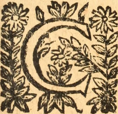 An illustration from Les panégyriques des saints, 1664, leaf 554