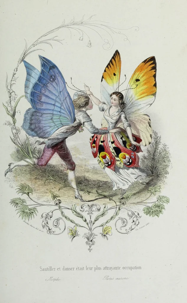An illustration from Les papillons. Metamorphoses terrestres des peuples de l'air, 1852, leaf 104