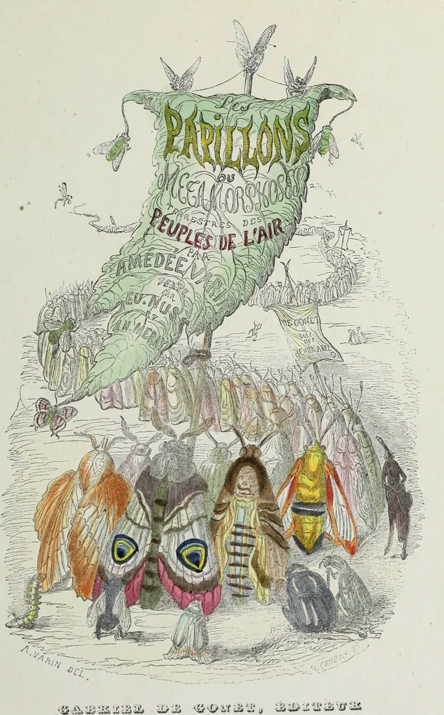 An illustration from Les papillons. Metamorphoses terrestres des peuples de l'air, 1852, leaf 12