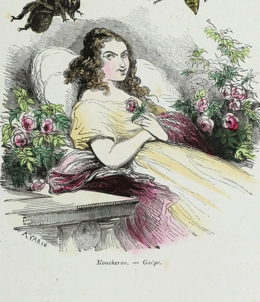 An illustration from Les papillons. Metamorphoses terrestres des peuples de l'air, 1852, leaf 120