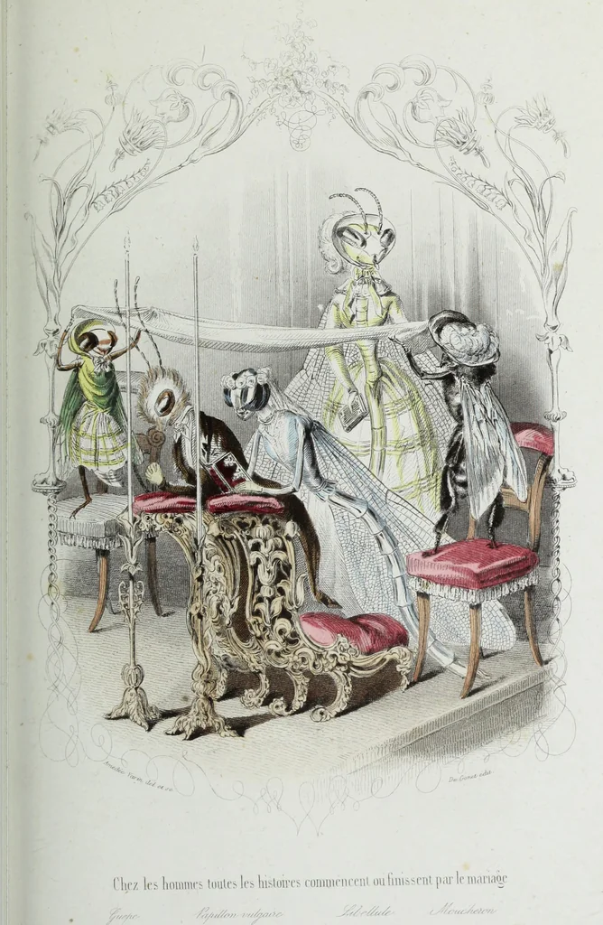 An illustration from Les papillons. Metamorphoses terrestres des peuples de l'air, 1852, leaf 140