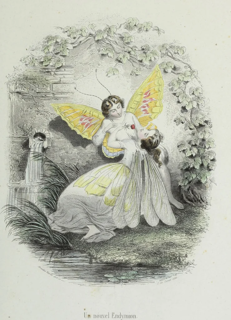 An illustration from Les papillons. Metamorphoses terrestres des peuples de l'air, 1852, leaf 166