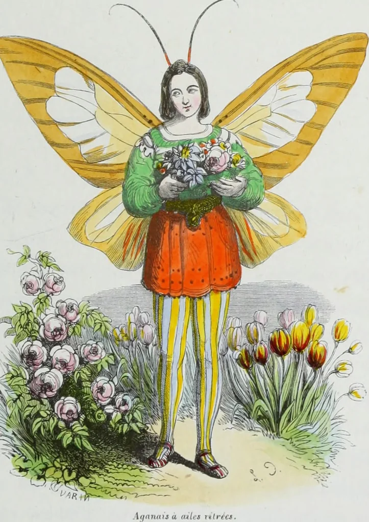 An illustration from Les papillons. Metamorphoses terrestres des peuples de l'air, 1852, leaf 204