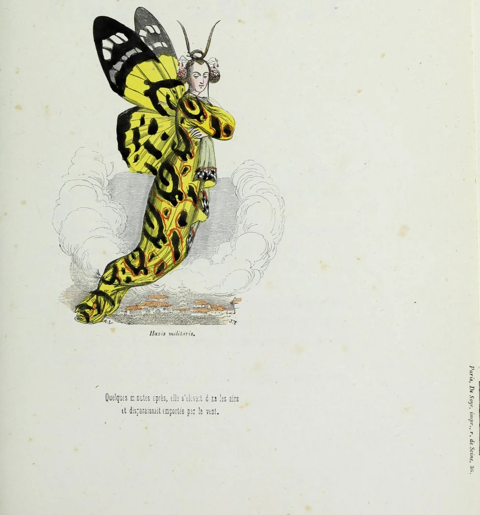 An illustration from Les papillons. Metamorphoses terrestres des peuples de l'air, 1852, leaf 232