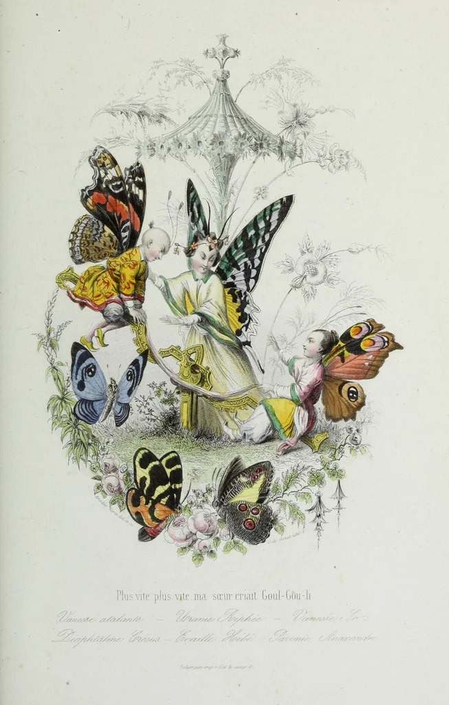 An illustration from Les papillons. Metamorphoses terrestres des peuples de l'air, 1852, leaf 248