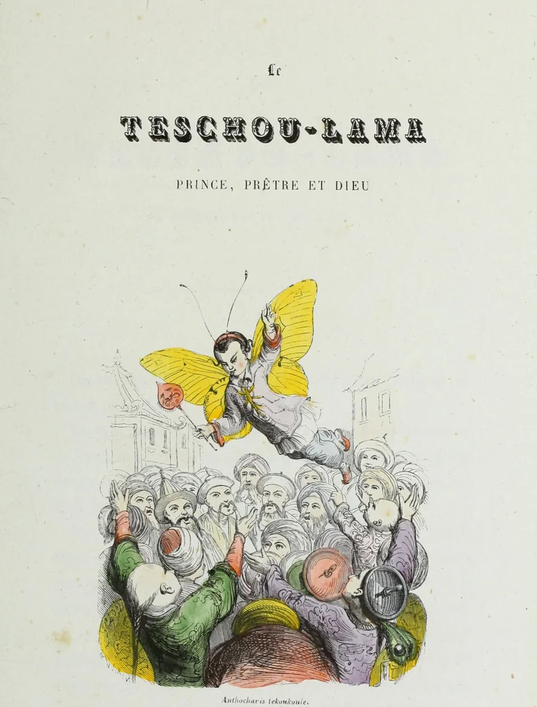 An illustration from Les papillons. Metamorphoses terrestres des peuples de l'air, 1852, leaf 260