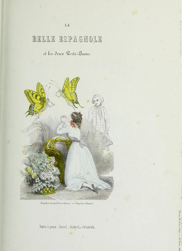 An illustration from Les papillons. Metamorphoses terrestres des peuples de l'air, 1852, leaf 64