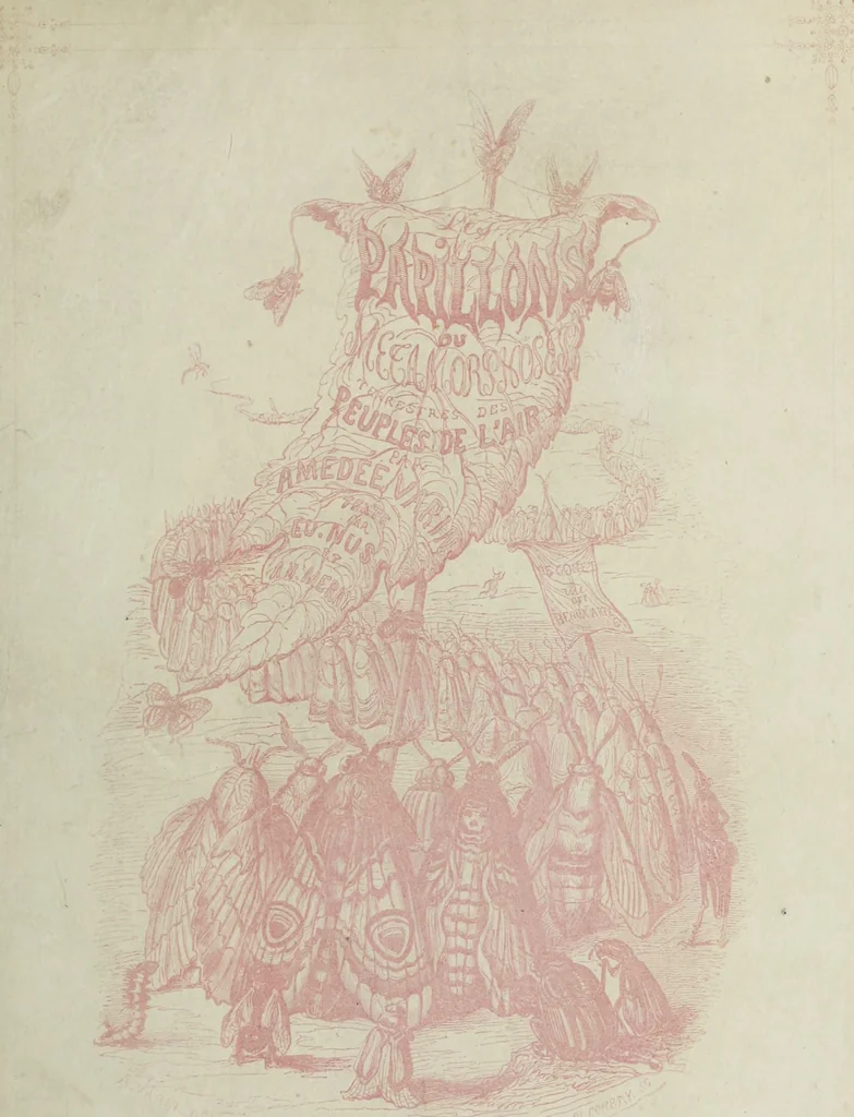 An illustration from Les papillons. Metamorphoses terrestres des peuples de l'air, 1852, leaf 8