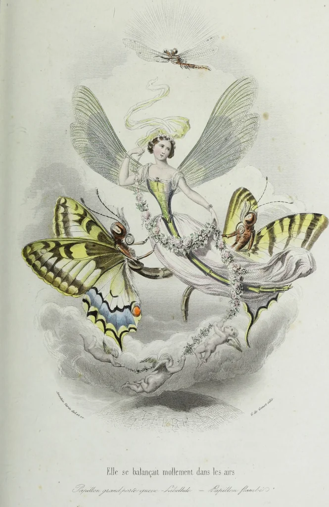 An illustration from Les papillons. Metamorphoses terrestres des peuples de l'air, 1852, leaf 80