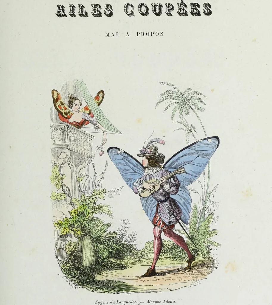 An illustration from Les papillons. Metamorphoses terrestres des peuples de l'air, 1852, leaf 92