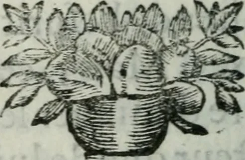 An illustration from Les paroles remarquables, les bons mots, et Les maximes des Orientaux, 1694, leaf 21