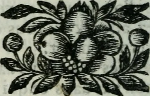 An illustration from Les paroles remarquables, les bons mots, et Les maximes des Orientaux, 1694, leaf 365