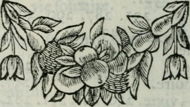 An illustration from Les paroles remarquables, les bons mots, et Les maximes des Orientaux, 1694, leaf 399