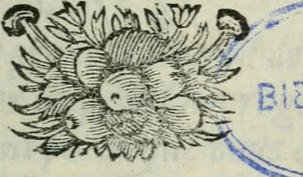 An illustration from Les paroles remarquables, les bons mots, et Les maximes des Orientaux, 1694, leaf 6