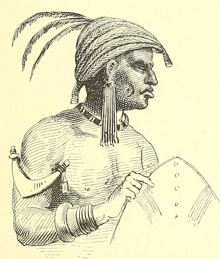 An illustration from Les parures primitives : avec une introduction sur les temps préhistoriques, 1894, leaf 169