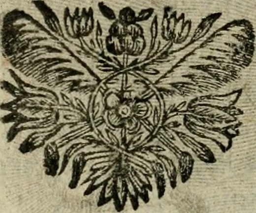 An illustration from Les pieux sentimens d'une ame chrestienne : exposez sous des emblesmes familiers, tirez de l'Ecriture Sainte : divisez en trois parties : la premiere traite des larmes & soûpirs de la penitence, la seconde, des desirs de l'ame juste, la troisième, des soûpirs d'une ame convertie en Dieu : traduction nouvelle, avec des figures, 1692, leaf 247