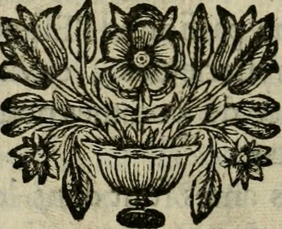 An illustration from Les pieux sentimens d'une ame chrestienne : exposez sous des emblesmes familiers, tirez de l'Ecriture Sainte : divisez en trois parties : la premiere traite des larmes & soûpirs de la penitence, la seconde, des desirs de l'ame juste, la troisième, des soûpirs d'une ame convertie en Dieu : traduction nouvelle, avec des figures, 1692, leaf 303