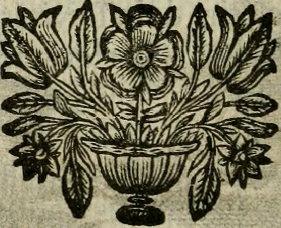 An illustration from Les pieux sentimens d'une ame chrestienne : exposez sous des emblesmes familiers, tirez de l'Ecriture Sainte : divisez en trois parties : la premiere traite des larmes & soûpirs de la penitence, la seconde, des desirs de l'ame juste, la troisième, des soûpirs d'une ame convertie en Dieu : traduction nouvelle, avec des figures, 1692, leaf 413