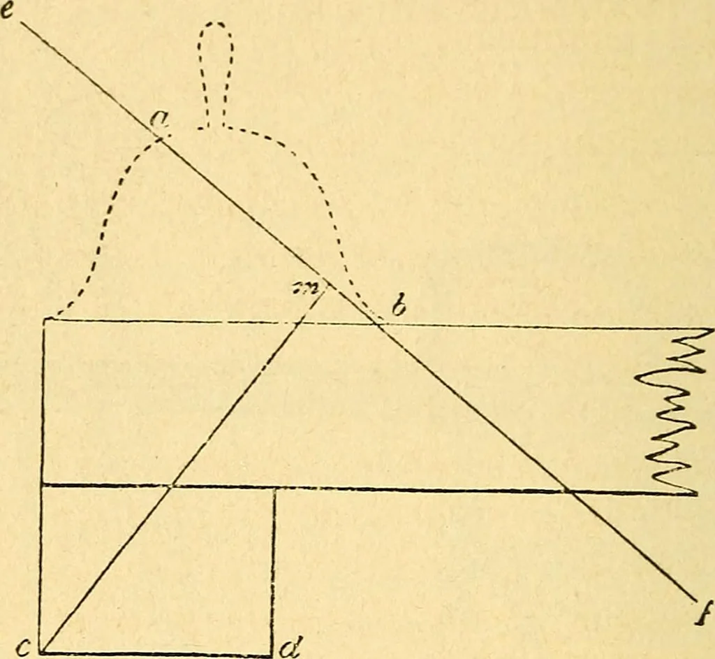 An illustration from Le spiritisme (fakirisme occidental) : étude historique, critique et expérimentale : avec figures dans le texte, 1887, leaf 269