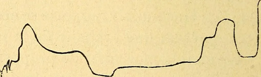 An illustration from Le spiritisme (fakirisme occidental) : étude historique, critique et expérimentale : avec figures dans le texte, 1887, leaf 277