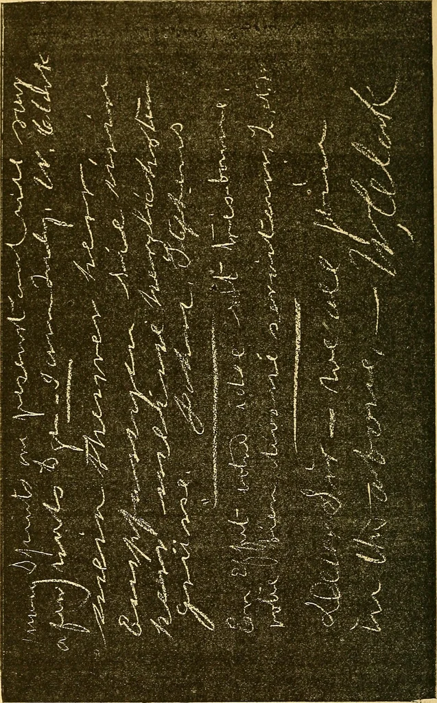 An illustration from Le spiritisme (fakirisme occidental) : étude historique, critique et expérimentale : avec figures dans le texte, 1887, leaf 359