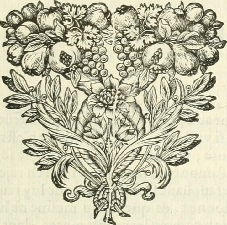 An illustration from Les Plaidoyez et harangues de monsieur Le Maistre, 1659, leaf 148