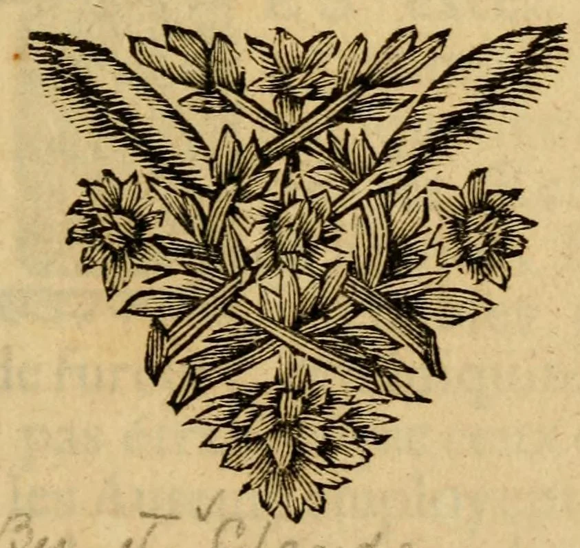 An illustration from Les plaintes des protestans, cruellement opprimez dans le royaume de France, 1686, leaf 7
