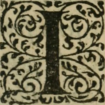 An illustration from Les Pléiades du sieur de Chavigny, beaunois, divisées en VII livres --, 1606, leaf 74
